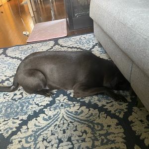 Meet your Posher, Jacob